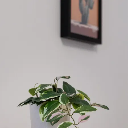 Cosy 3br Duplex Penthouse With Terrace & Views By Isola360 * موستا