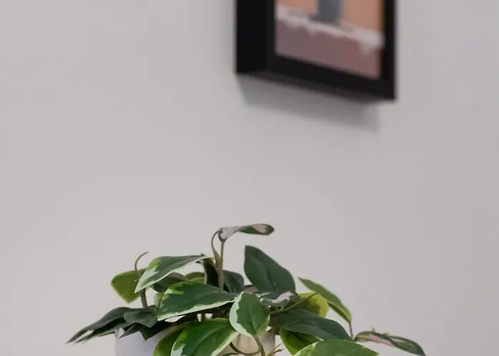 Cosy 3br Duplex Penthouse With Terrace & Views By Isola360 * 莫斯塔